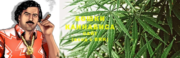 не бодяженный Бородино