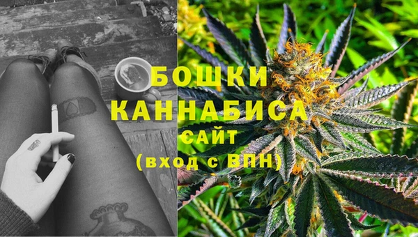 не бодяженный Бородино